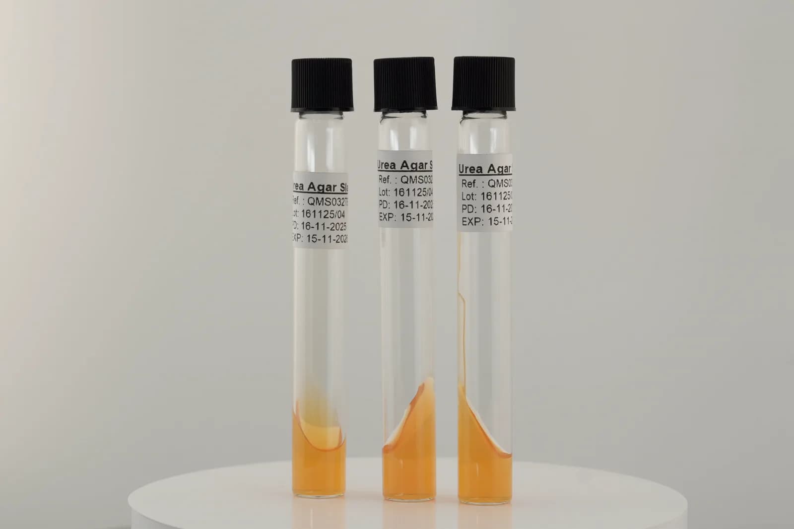 QMS urea agar tubes